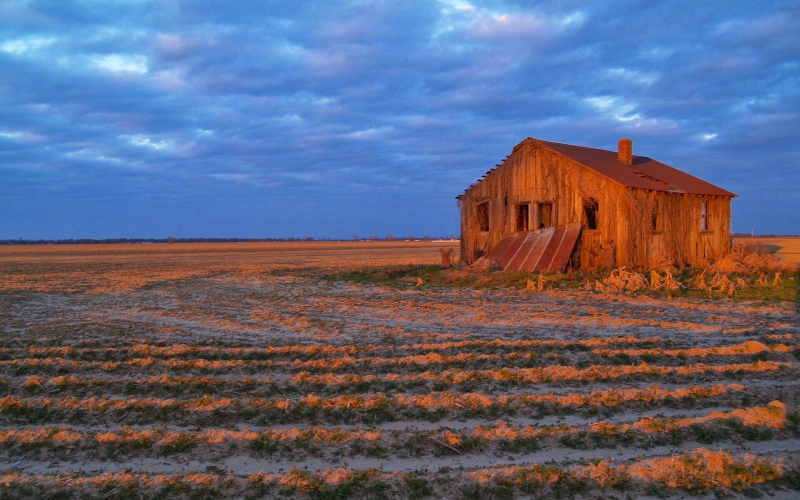 Weathered wooden farmhouse standing alone in a plowed field at sunset