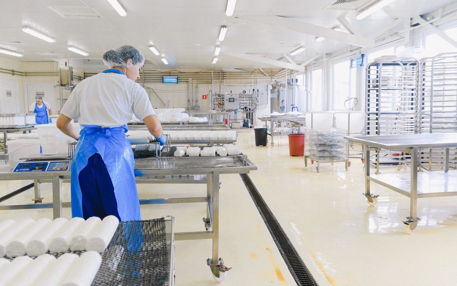 Workers in hairnets and aprons handle rounds of cheese in a dairy processing facility